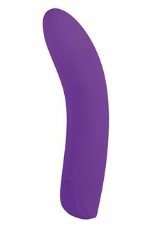 5 Inch Silicone 10 Function Vibrator Purple