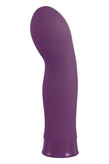 5 Inch Rechargeable Silicone 10 Functions Speed Vibrator Purple