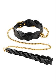 Lunar Braided Leash and Collar