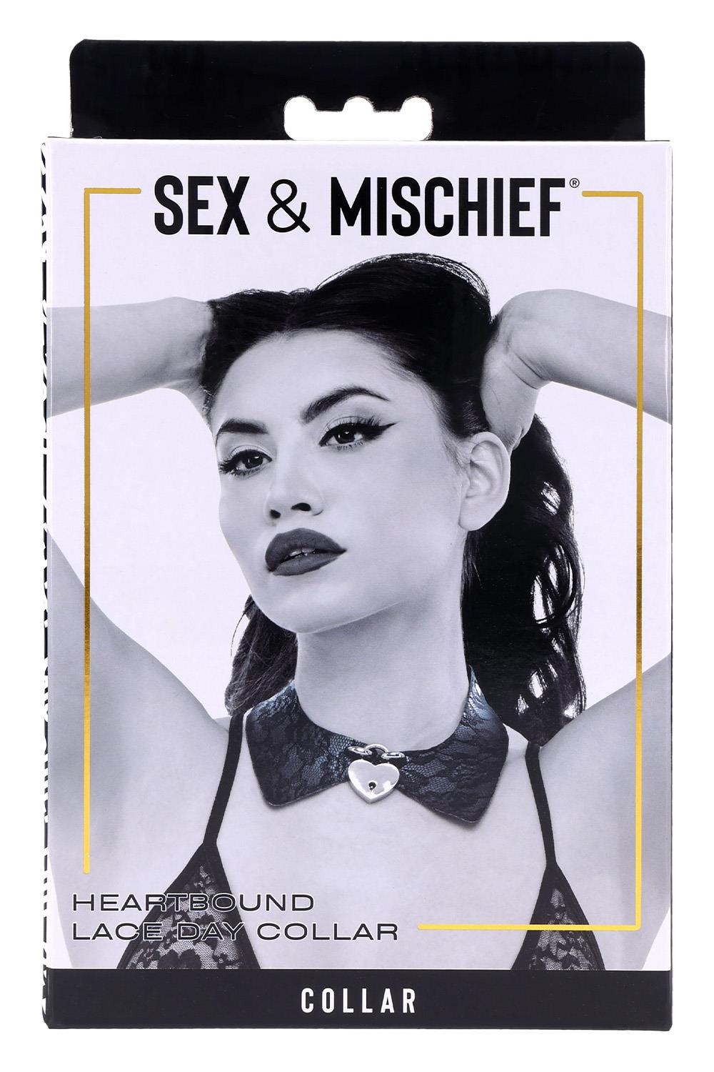 SPORTSHEETS SEX AND MISCHIEF LACE DAY COLLAR
